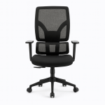 Ergonomic mesh office chair with lumbar support, padded armrests and 5-star base on casters.
