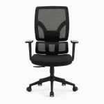 Ergonomic mesh office chair with lumbar support, padded armrests and 5-star base on casters