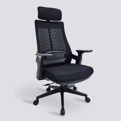 Aurora Ergonomic Chair