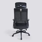Aurora Ergonomic Chair
