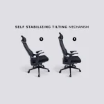 Aurora Ergonomic Chair