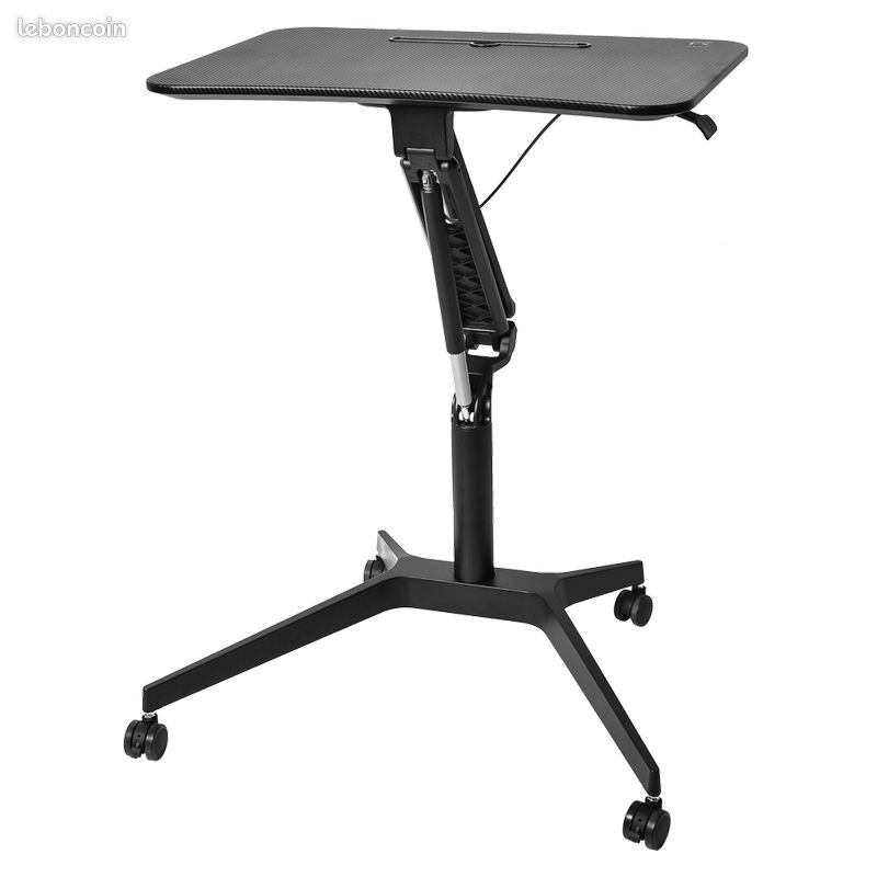 Flexi Stand Up Desk