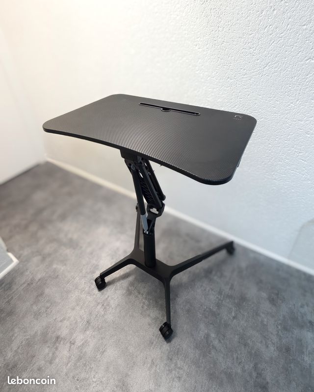 Flexi Stand Up Desk