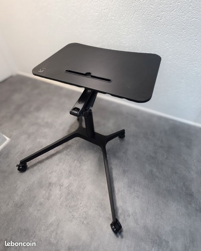 Flexi Stand Up Desk
