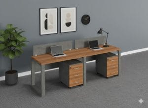 2-Seater Office Workstation