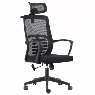 Ergonomic Office Chair
