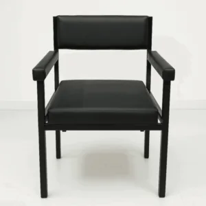Catalina Chair - Mid-Back Support