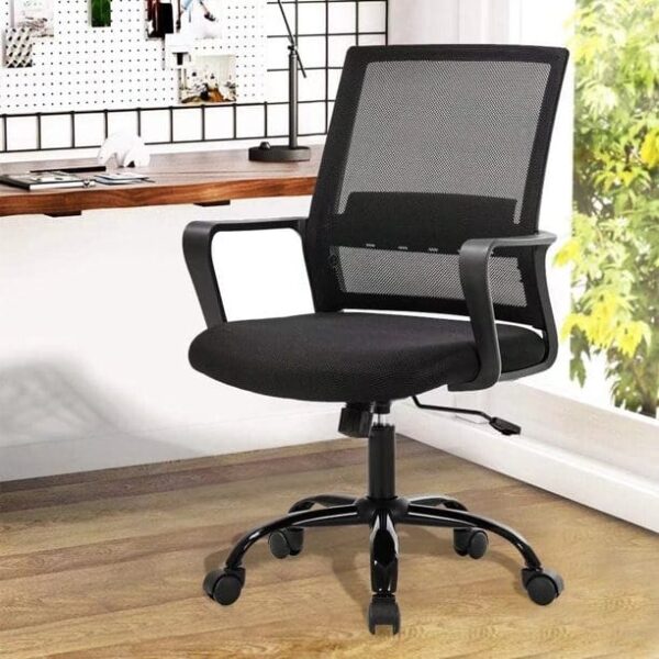 Mid-Back Ergonomic Mesh