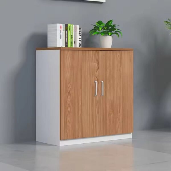 Executive Storage Credenza