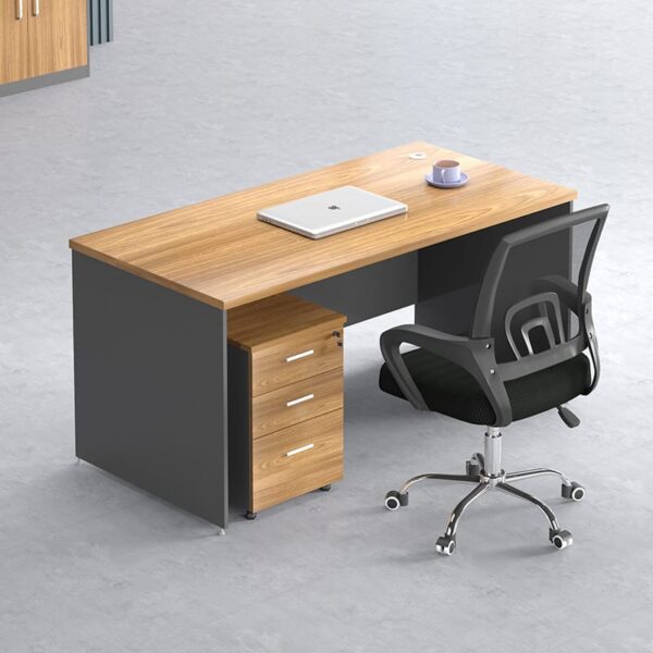 Standard Office Desk
