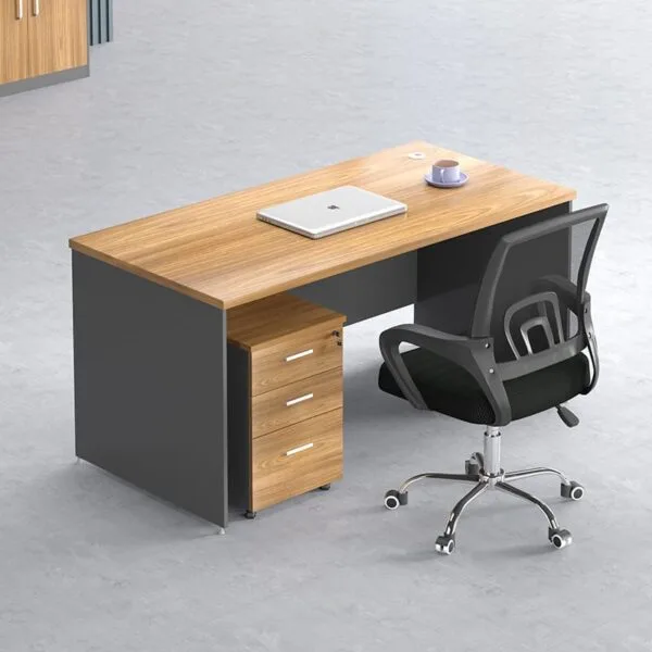 Standard Office Desk