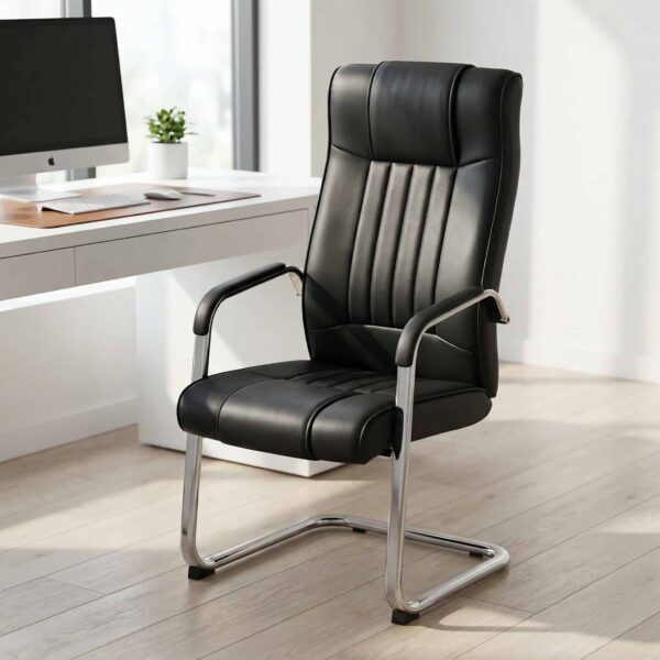 Executive Visitors Seat