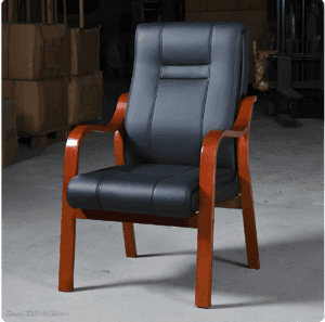 Directors Executive Visitor Seat