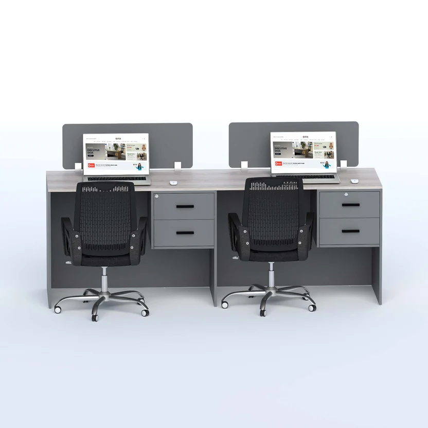 2-Person Linear Office Workstation Desk